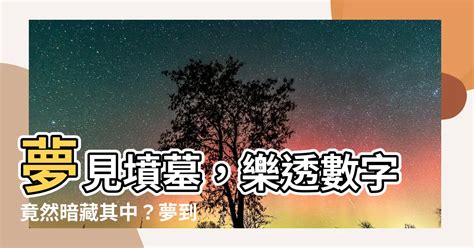 夢到墳墓區|夢到墳墓：揭開終結與新生的秘密 